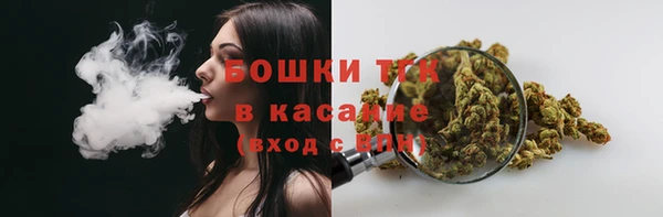 меф Арсеньев