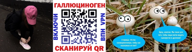 Купить где  Волжск  Псилоцибиновые грибы Cubensis 