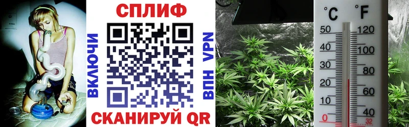 Канабис White Widow Волжск